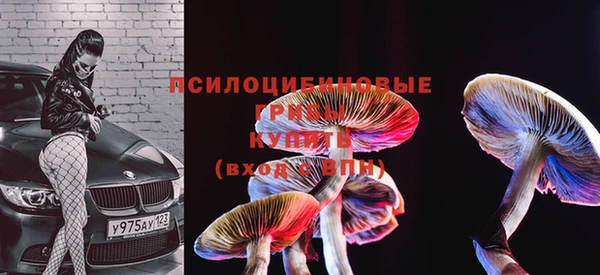 кокс Новодвинск