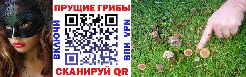 блэк спрут зеркало  Новоуральск  Галлюциногенные грибы мухоморы  сколько стоит 