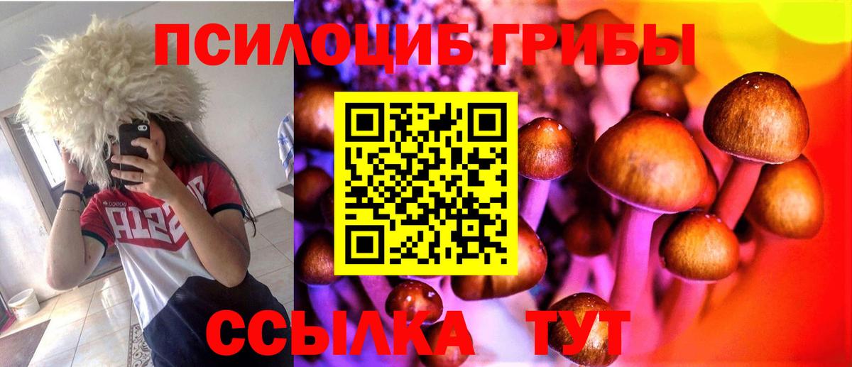 Псилоцибиновые грибы Psilocybine cubensis Новоуральск