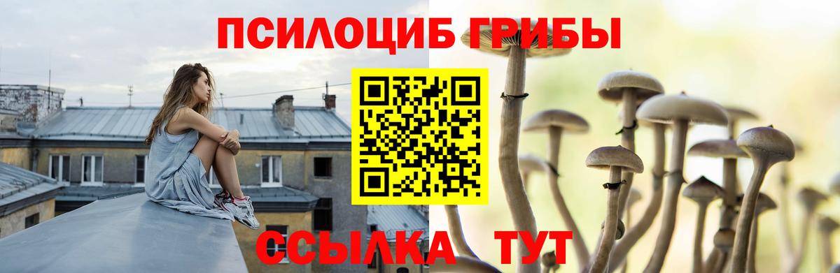 Галлюциногенные грибы Magic Shrooms  Вход с VPN  Новоуральск  Галлюциногенные грибы Magic Shrooms 