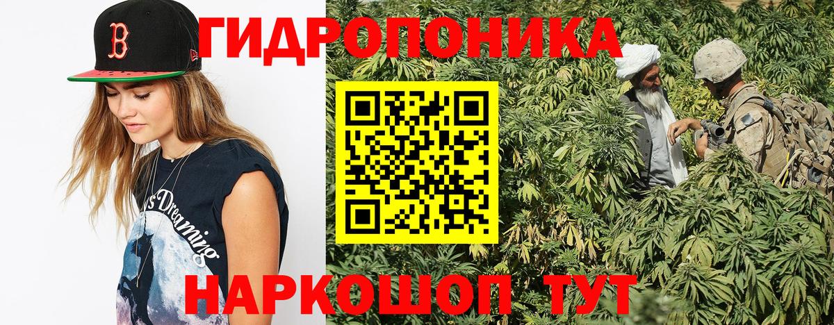 Бошки марихуана Amnesia Новоуральск